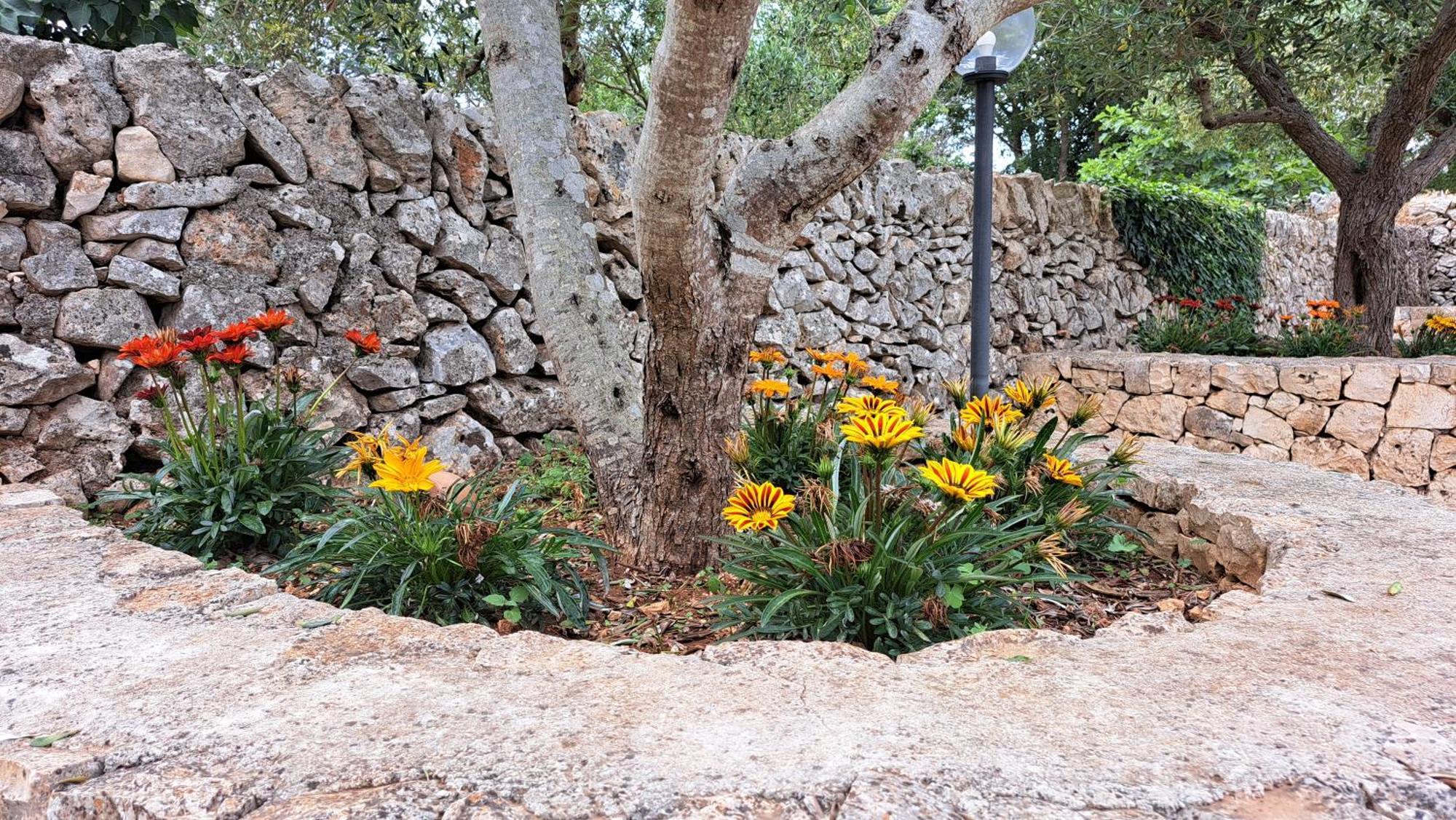 Villa Casolare Di Puglia Noci Exterior foto